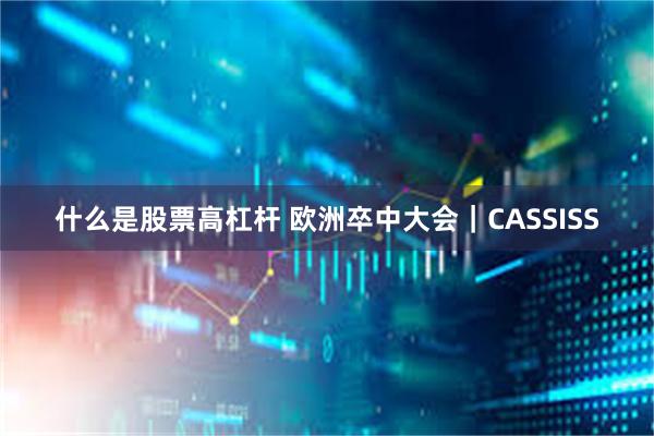 什么是股票高杠杆 欧洲卒中大会｜CASSISS