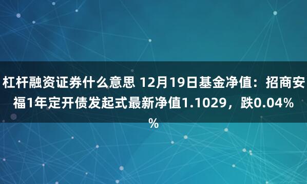 杠杆融资证券什么意思 12月19日基金净值：招商安福1年定开债发起式最新净值1.1029，跌0.04%