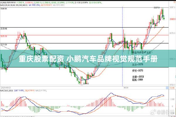 重庆股票配资 小鹏汽车品牌视觉规范手册