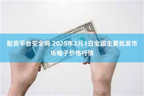 配资平台安全吗 2025年2月1日全国主要批发市场柚子价格行情