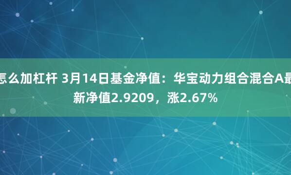 怎么加杠杆 3月14日基金净值：华宝动力组合混合A最新净值2.9209，涨2.67%